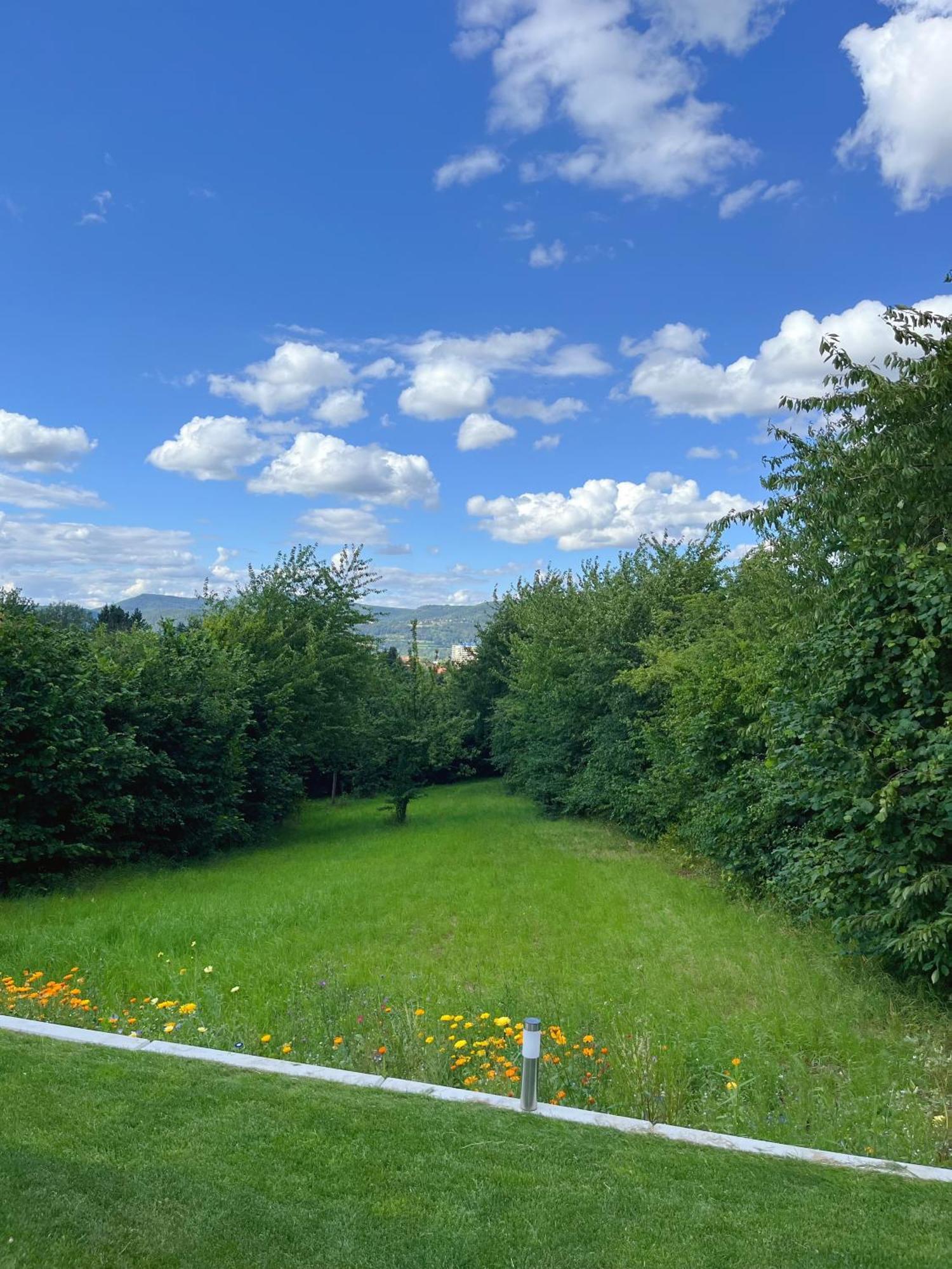 Neu Sanierte Wohnung Fuer 2-4 P Eschwege Zewnętrze zdjęcie